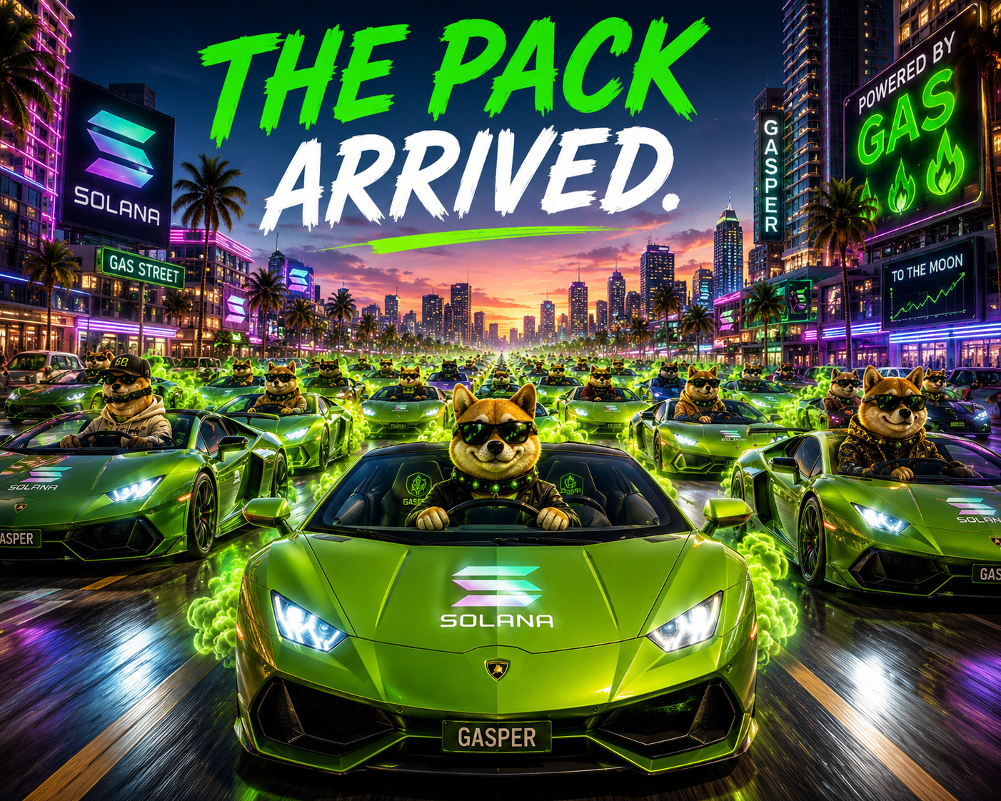 The-packs-arrived